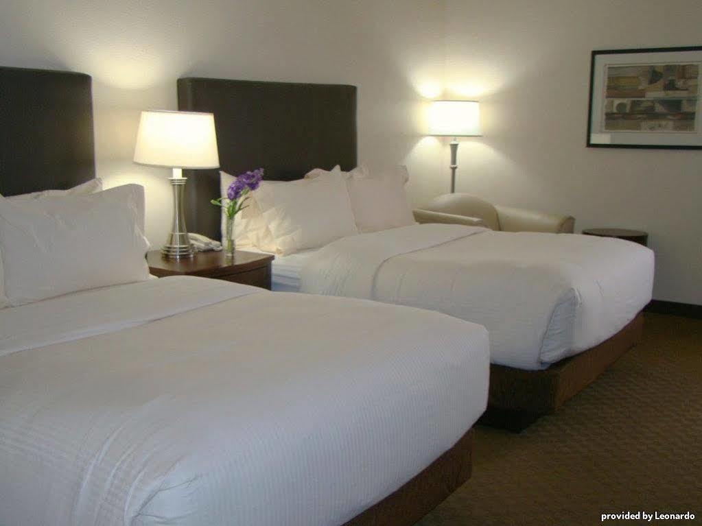 Best Western Plus Downtown Inn & Suites Houston Szoba fotó